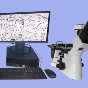 Computer type three eye biological microscope