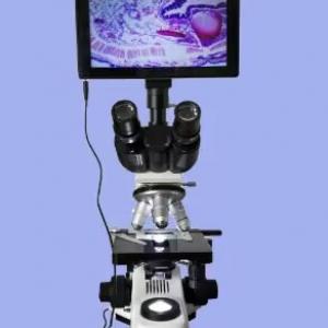 Video biological microscope